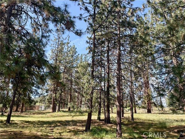 Image 12 of 54 For 0 S Lang Way