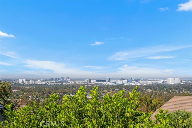 Detail Gallery Image 12 of 41 For 4 Carina #41,  Irvine,  CA 92603 - 4 Beds | 3/1 Baths