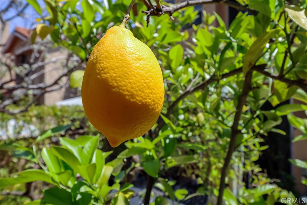 https://media.crmls.org/medias/3d709e75-2c77-4448-a692-ec604c8816cd.jpg?preset=X-Large