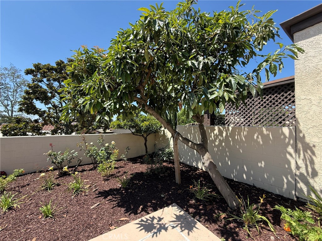 https://media.crmls.org/medias/3d74ca66-b671-4d9e-b9b3-d57f0912e483.jpg?preset=X-Large