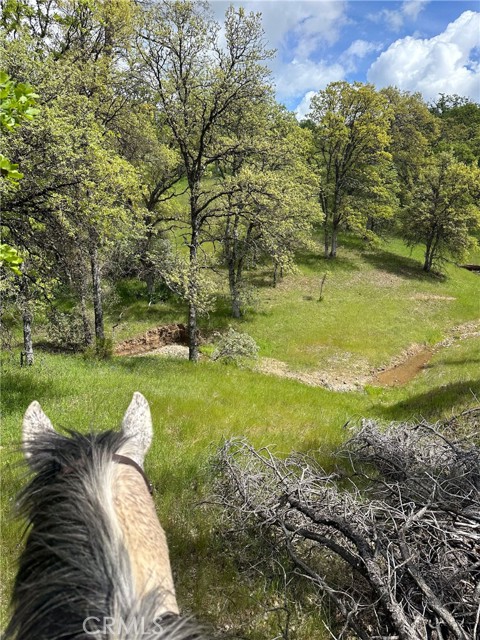 Detail Gallery Image 71 of 74 For 18020 Benson Rd, Cottonwood,  CA 96022 - 3 Beds | 3 Baths