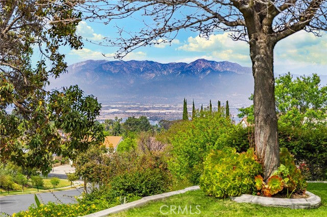 Detail Gallery Image 40 of 56 For 3165 Forest View, Corona,  CA 92882 - 5 Beds | 2/1 Baths
