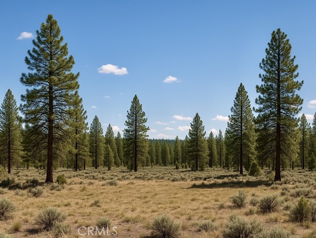 0 California Pines Blvd, Alturas CA: https://media.crmls.org/medias/3d92ae05-0b28-4f87-9507-60f559d8c4d0.jpg