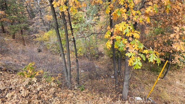 Detail Gallery Image 2 of 19 For 1000 Butte Ave, –,  CA 92314 - – Beds | – Baths