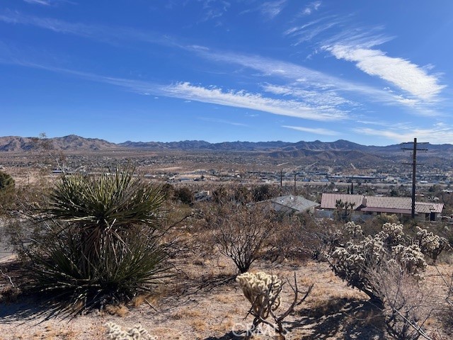 MLS #JT25006607 image #9