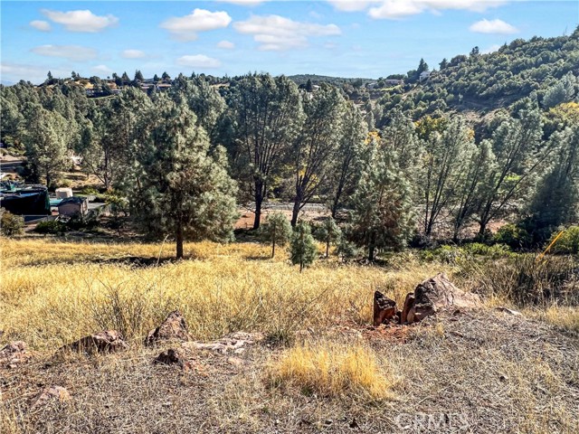 Detail Gallery Image 8 of 9 For 10203 El Capitan, Kelseyville,  CA 95451 - – Beds | – Baths