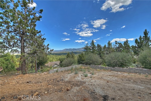 Detail Gallery Image 63 of 74 For 1101 Mound St, Big Bear City,  CA 92314 - 7 Beds | 4/2 Baths