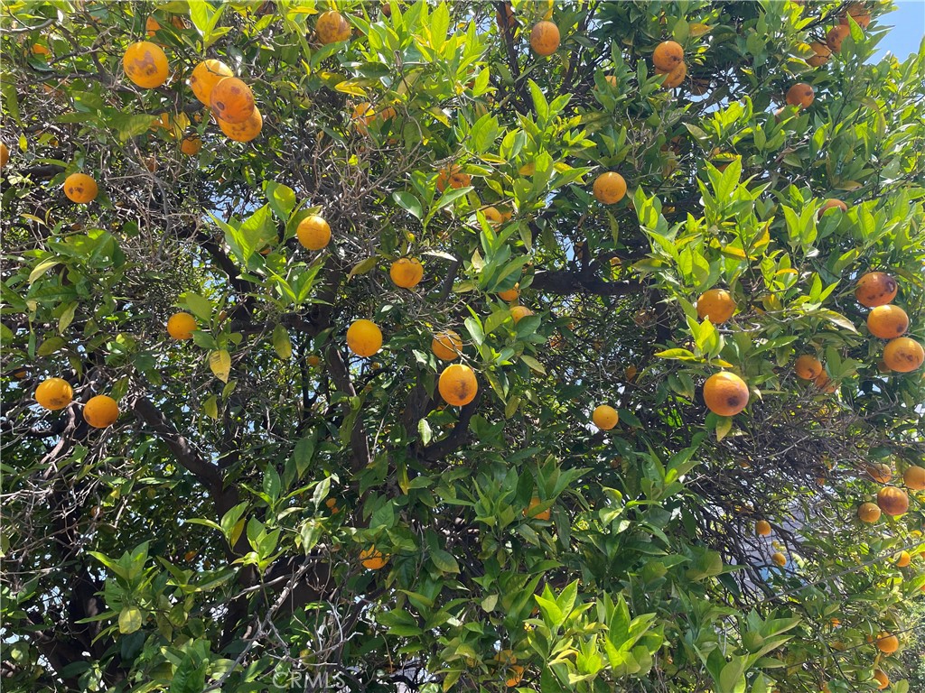 https://media.crmls.org/medias/3daea000-cfc2-4690-8c6a-83b4bf0b620f.jpg?preset=X-Large