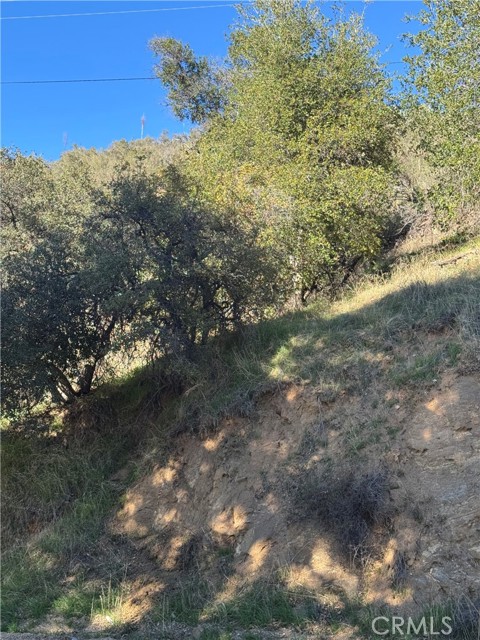 Detail Gallery Image 4 of 4 For 0 Vac/San Francisquito Cyn, Green Valley,  CA 91350 - – Beds | – Baths