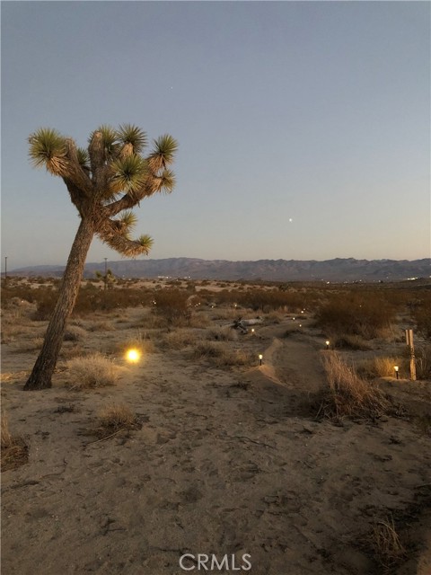 Detail Gallery Image 23 of 24 For 2674 Manana Ave, Joshua Tree,  CA 92252 - – Beds | – Baths