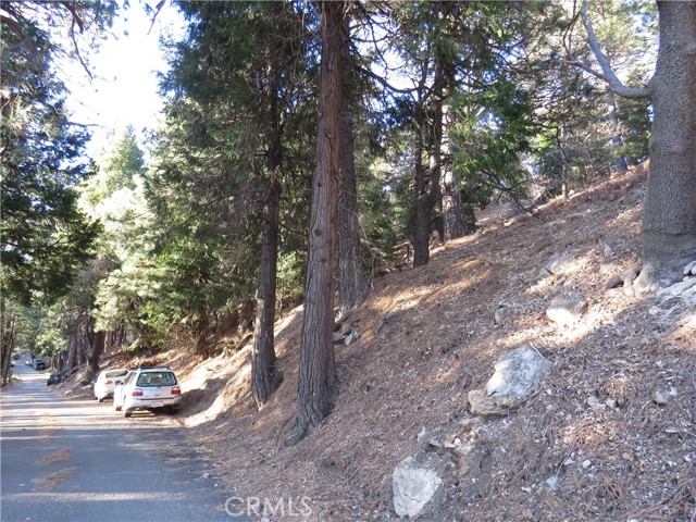 0 Peak Circle, Cedarpines Park, California 92322, ,Land,For Sale,0 Peak Circle,CRCV23013750