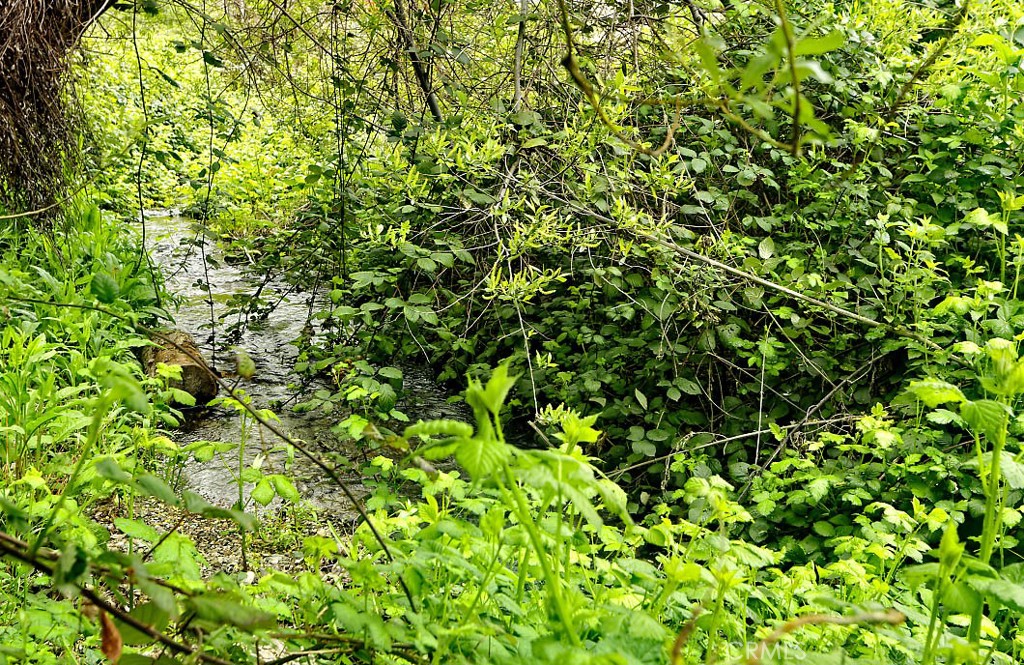 https://media.crmls.org/medias/3db9dd48-ca8c-48b9-b31e-f577d734482f.jpg?preset=X-Large