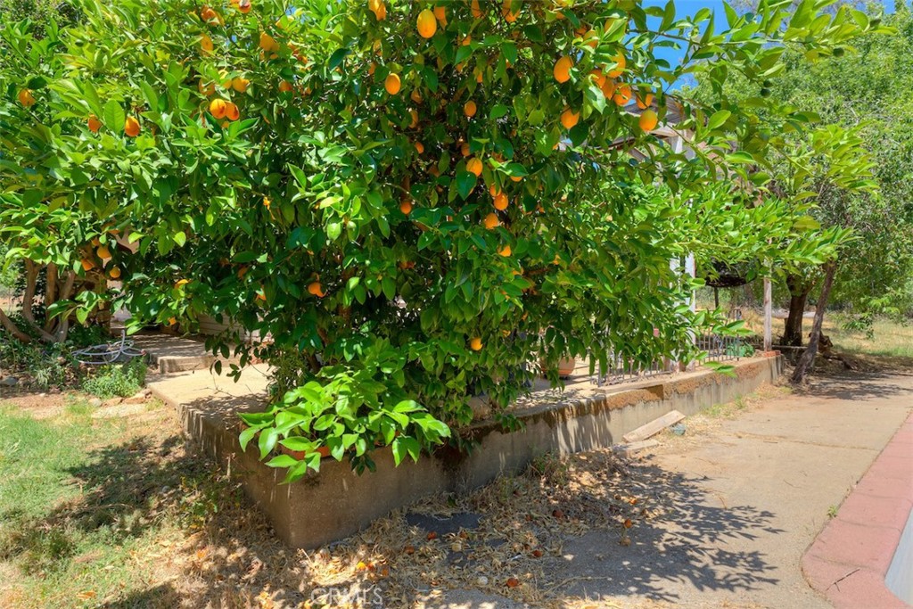 https://media.crmls.org/medias/3dbe102c-cf40-4f0a-86e6-f9f4ceeba0a3.jpg?preset=X-Large