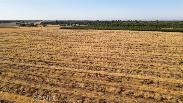 2507 S. Escalon Belotta Road,  CA: https://media.crmls.org/medias/3dc04a98-f370-4bb2-9adb-4d0090894325.jpg