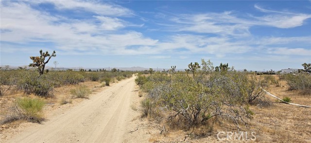 Front Image Thumbnail for CRSR26072626