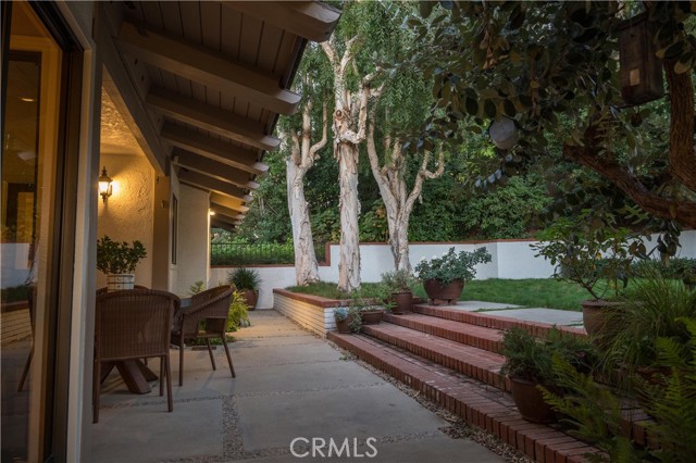 This part of the yard is completely fenced and there is also a dog runner driveway edge.