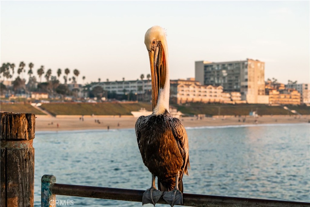 https://media.crmls.org/medias/3dc77eaa-9d32-4080-b2cc-8f43c1c04dcd.jpg?preset=X-Large