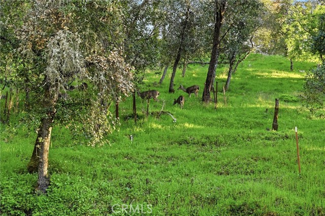 Detail Gallery Image 35 of 39 For 3398 Ogden Rd, Lucerne,  CA 95458 - 3 Beds | 3 Baths