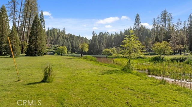 Detail Gallery Image 54 of 69 For 9 Apple Hill Cir, Berry Creek,  CA 95916 - 3 Beds | 2 Baths