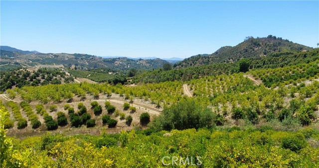 5 De Anza Road, Temecula CA: https://media.crmls.org/medias/3dd3a231-6a46-42ec-aa8a-1a0c7f143677.jpg
