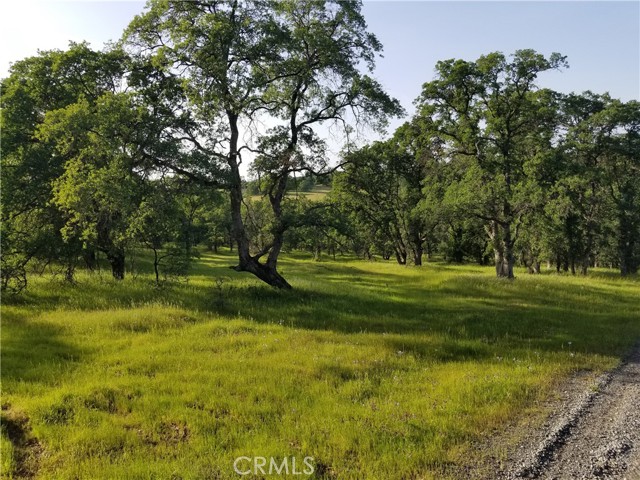 0 Whitney Court, Oroville, California 95966, ,Land,For Sale,0 Whitney Court,CROR21163755