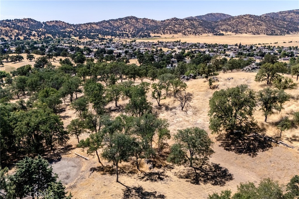 MLS #PI25150559 img 5