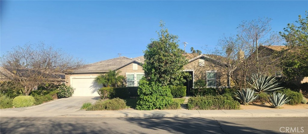 31826 Livingston Street