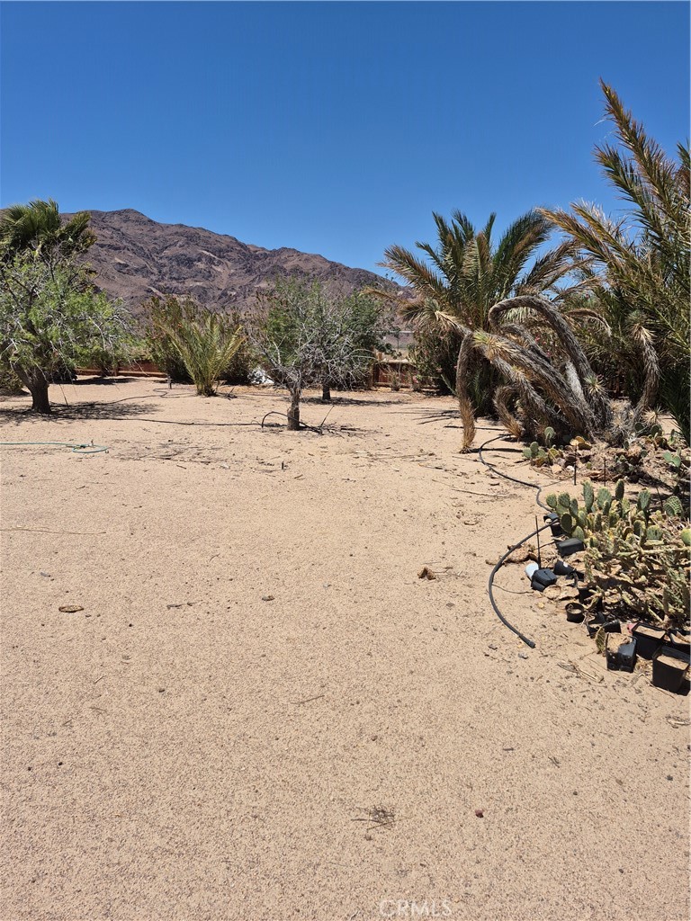 https://media.crmls.org/medias/3df1d379-283d-43b8-9258-c9df5f3b16c5.jpg?preset=X-Large