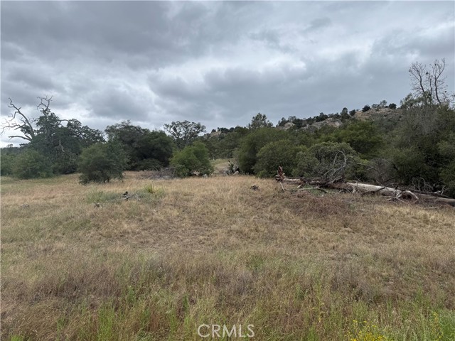 Front Image Thumbnail for CRFR26103233