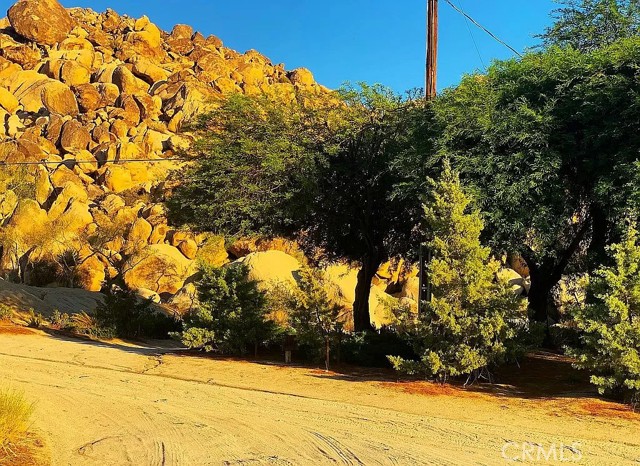 66058 Foothill Drive, Joshua Tree, California 92252, ,Land,For Sale,66058 Foothill Drive,CROC23216688