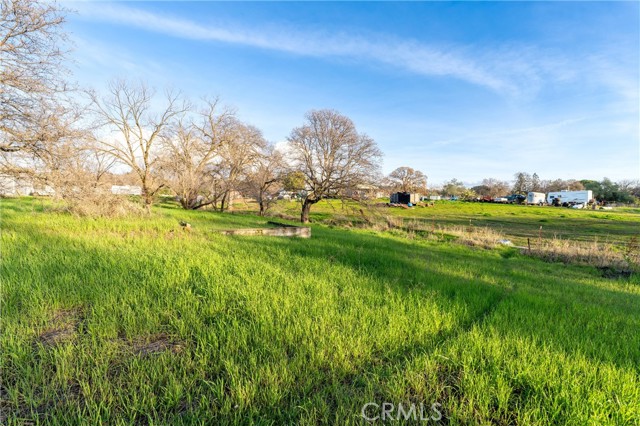 4560 Olive, Oroville, California 95966, ,Land,For Sale,4560 Olive,CROR24013389