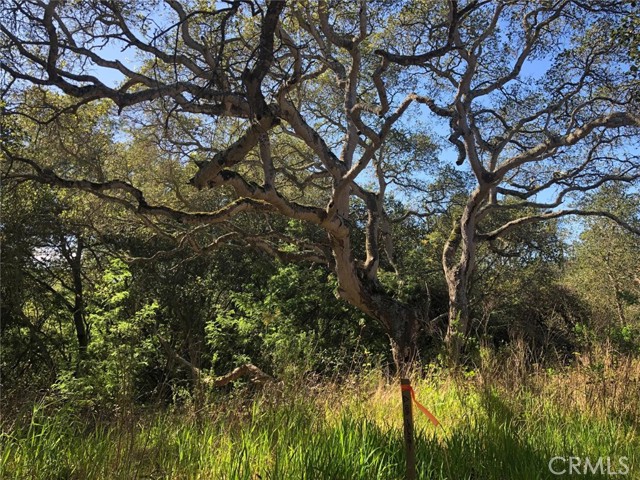 Detail Gallery Image 6 of 9 For 221 Tucker Rd, Royal Oaks,  CA 95076 - – Beds | – Baths