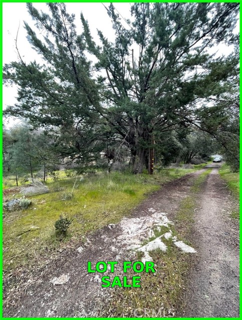 Detail Gallery Image 10 of 10 For 13672 Fair Oak Rd, Clearlake,  CA 95424 - – Beds | – Baths