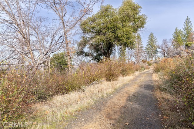 2231 Lumpkin Road, Oroville, California 95966, ,Land,For Sale,2231 Lumpkin Road,CRSN23227176