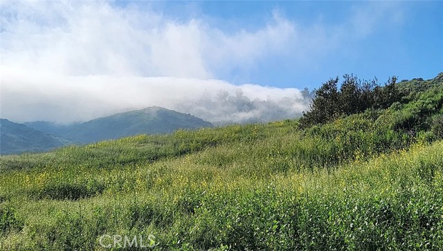 Detail Gallery Image 24 of 26 For 24212 Davida, Laguna Niguel,  CA 92677 - 3 Beds | 2/1 Baths