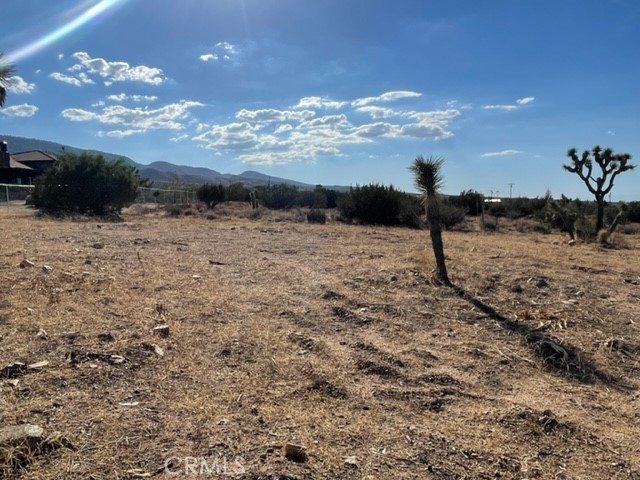 985 Cholla, Pinon Hills, CA, 92372 985 Cholla, Pinon Hills, CA, 92372