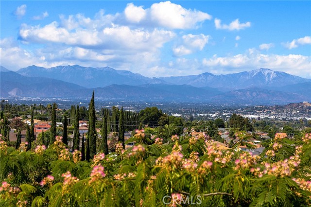 Detail Gallery Image 55 of 57 For 15331 Lillian Pl, Hacienda Heights,  CA 91745 - 5 Beds | 5 Baths