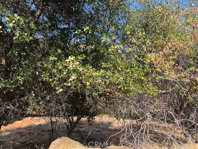 17685 Deer Hill, Hidden Valley Lake, CA, 95467 17685 Deer Hill, Hidden Valley Lake, CA, 95467