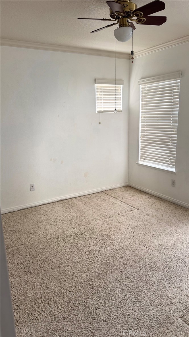 MLS #TR25245555 image #18