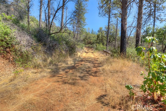 Detail Gallery Image 16 of 33 For 8700 Oro Quincy, Berry Creek,  CA 95916 - – Beds | – Baths