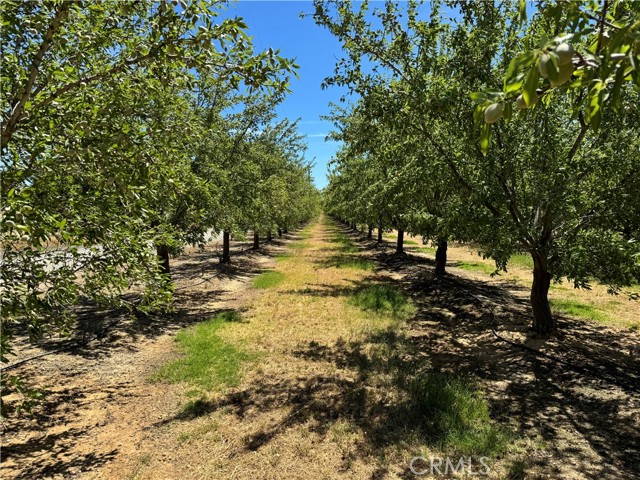 Detail Gallery Image 27 of 30 For 24895 New Jersey Ave, Corning,  CA 96021 - 3 Beds | 2 Baths