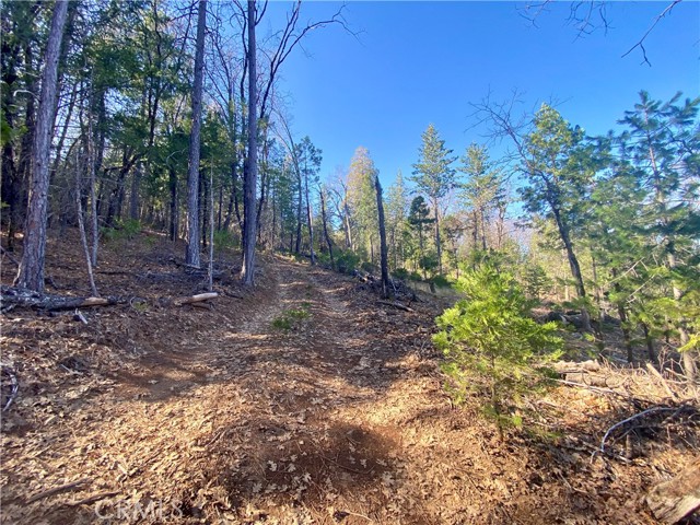 Detail Gallery Image 2 of 21 For 10130 Seigler Springs North, Kelseyville,  CA 95451 - – Beds | – Baths