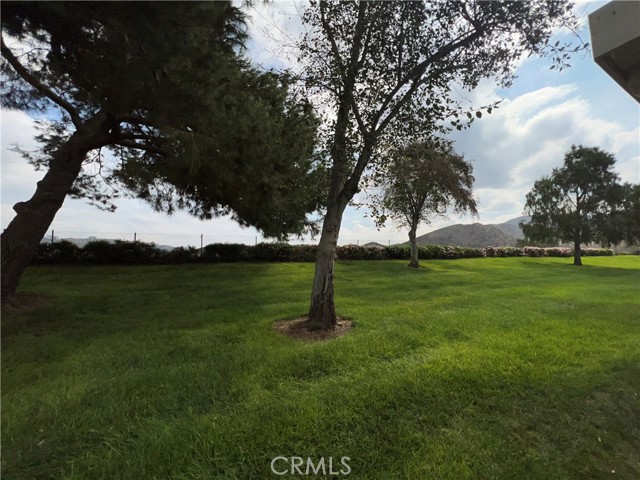 44145 Village 44 photo 4