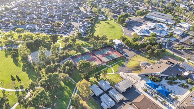 Image 39 of 42 For 6 Blazing Star