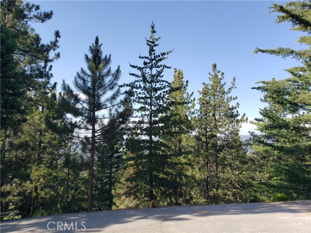 MLS# RW23117245