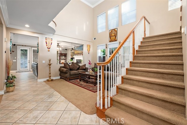 Image 13 of 57 For 30 Acanthus  