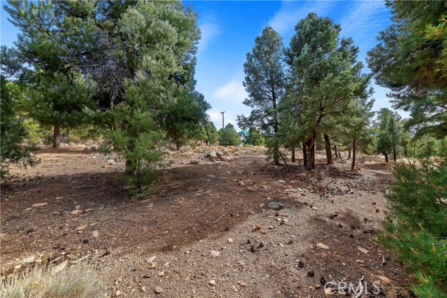 Detail Gallery Image 7 of 10 For 0 Sunny Slope Ln, Big Bear City,  CA 92314 - – Beds | – Baths