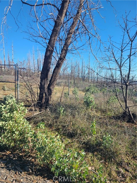 Detail Gallery Image 3 of 10 For 81 Green Cedar, Berry Creek,  CA 95916 - – Beds | – Baths