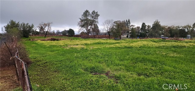 Front Image Thumbnail for CRSN26037421