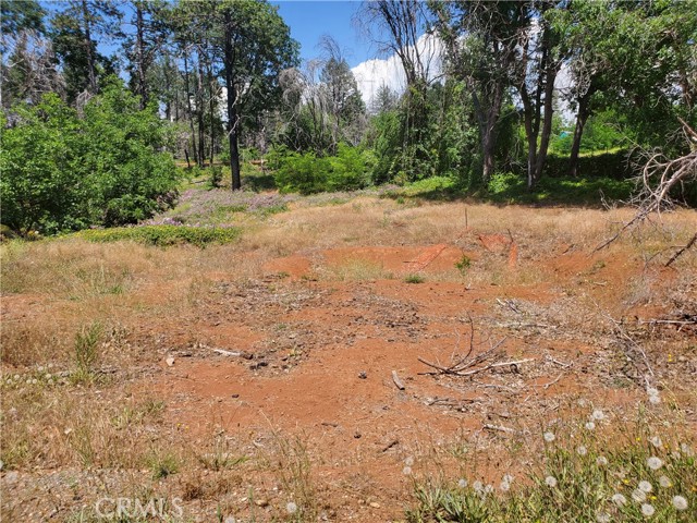 8819 Skyway, Paradise, California 95969, ,Land,For Sale,8819 Skyway,CRSN23115047